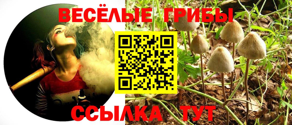Ирбит  Галлюциногенные грибы MAGIC MUSHROOMS  где купить наркоту  Вход с VPN 